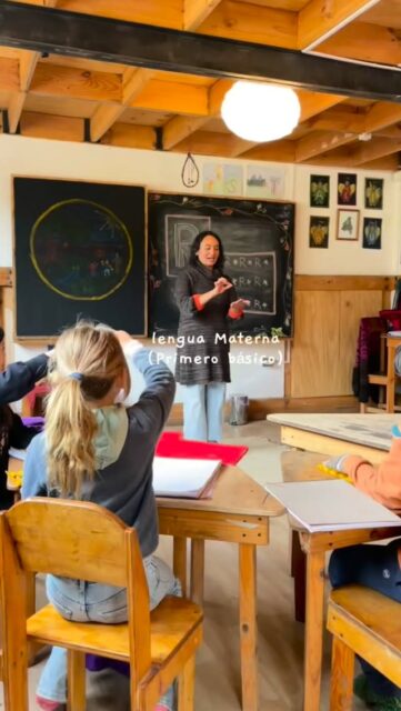 En primero básico, la lengua materna se aprende de una forma viva y cercana 🌿
Los niños descubren las letras a través de cuentos, imágenes, canciones, poesías y movimiento, permitiendo que el aprendizaje nazca desde la experiencia y no solo desde la repetición.
Antes de escribir una letra, primero la escuchan, la imaginan, la sienten y la viven ✨
Se da mucho espacio a la narración oral, a las rondas y al desarrollo del lenguaje como una herramienta para pensar, crear y relacionarse con otros de manera respetuosa y segura.
Cada aprendizaje busca respetar el ritmo de la infancia, fortaleciendo la confianza, la imaginación y el amor por aprender 🤍
#PedagogíaWaldorf #PrimeroBásico #LenguaMaterna #EducaciónConsciente #EscuelaWaldorf InfanciaRespetada AprenderConAmor CrianzaConsciente