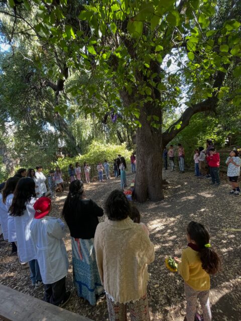 El primer semestre llega a su fin y, al mirar hacia atrás, encontramos un camino tejido de encuentros, canciones, juegos, aprendizajes y momentos compartidos que han ido dando forma a nuestra vida en comunidad.
Ahora el invierno nos invita a hacer una pausa, a recogernos en el calor del hogar y a descansar para volver a encontrarnos con nuevas fuerzas y renovada alegría.
Les deseamos a todas nuestras familias unas vacaciones llenas de calma, descanso y hermosos momentos compartidos.
Con cariño, nos esperamos a la vuelta. ✨❄️