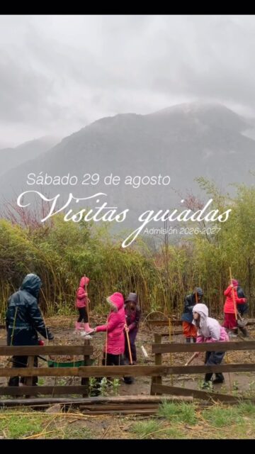 🌿 Ven a conocernos
Nuestra escuela abre sus puertas para recibir a las familias interesadas en ser parte de nuestra comunidad.
En este nuevo proceso de admisión 2026–2027, queremos invitarte a conocer nuestro espacio, recorrer sus rincones, acercarte a nuestra propuesta educativa y conversar sobre el camino que estamos construyendo juntos.
✨ Ya están disponibles nuestras visitas guiadas.
Si quieres conocernos, te invitamos a completar el formulario de inscripción para agendar tu visita.
🌱 Te esperamos en la escuela, para encontrarnos, conversar y compartir nuestro modo de educar.
📋 Completa el formulario 
¡Será un gusto recibirlos! 🤎