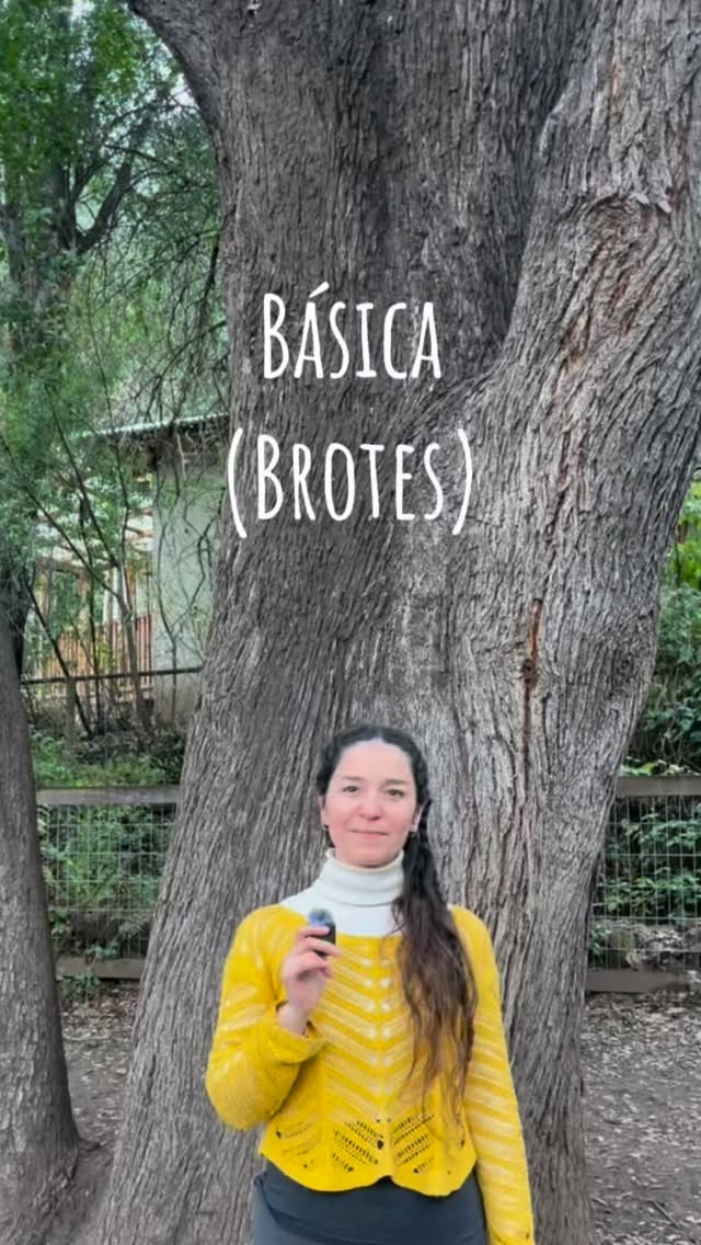 En la educación básica se busca acompañar al niño de manera integral, respetando sus ritmos de desarrollo y conectando los aprendizajes con experiencias significativas, concretas y cercanas a su realidad.🌿
En nuestra escuela, este enfoque encuentra un escenario muy especial: vivimos en medio de la cordillera, rodeados de montañas, árboles, senderos y naturaleza. 🏔️🌳
Este entorno no es solo el lugar donde está nuestra escuela. Es parte de nuestra propuesta educativa.
La naturaleza se convierte en un contexto que inspira, despierta la curiosidad, fortalece la autonomía y permite que muchos aprendizajes cobren sentido. Observar los cambios del paisaje, conocer el territorio, recorrer sus caminos, reconocer sus ciclos y relacionarse con el mundo natural son experiencias que acompañan el desarrollo de nuestros niños y niñas.
Así, en la educación básica, los aprendizajes no se viven de manera aislada: se relacionan con el cuerpo, las emociones, la imaginación, el pensamiento y con el mundo que habitamos.
✨ Porque cuando el entorno también educa, aprender adquiere otra profundidad.
Y en Casa Ketrawe, tenemos el privilegio de que ese entorno sea nuestra cordillera. 🌿🏔️
#pedagogía #pedagogiawaldorf #cordilleradelosandeschile🗻