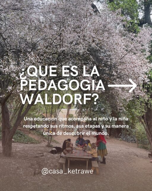 ¿Estás buscando una educación diferente para tu hijo o hija? 🍃
La pedagogía Waldorf acompaña la infancia respetando sus ritmos, cultivando la creatividad, el asombro y el amor por aprender.
Te invitamos a conocer Casa Ketrawe, un lugar donde cada niño y niña puede crecer a su propio ritmo, en conexión con la naturaleza y en comunidad.
Admisión 2027 abierta. ¡Ven, te esperamos!
#casaketrawe #pedagogiawaldorf #cajondelmaipo