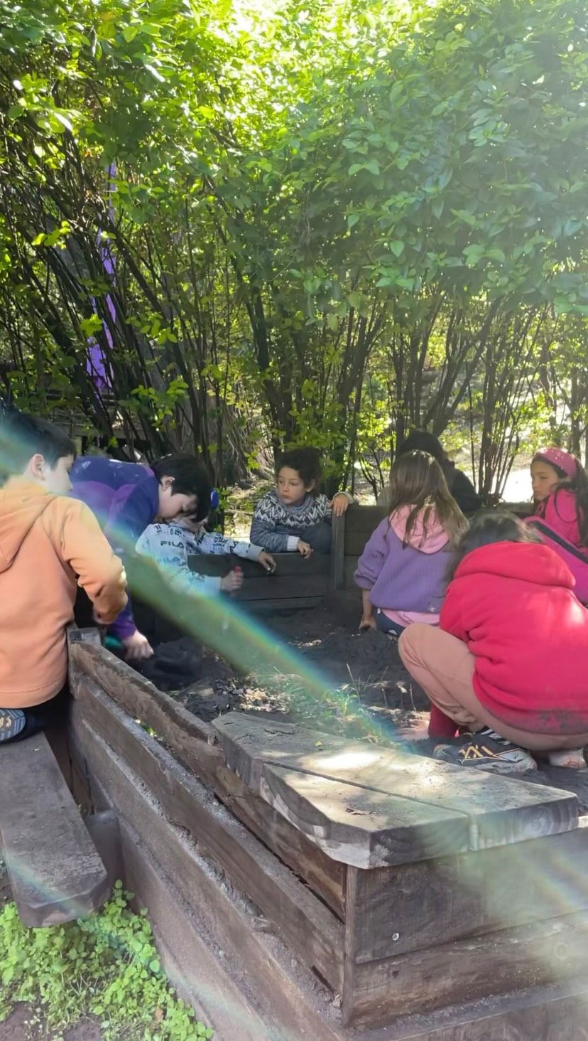 A veces, los adultos vemos el camino, mientras los niños y niñas descubren mundos enteros en una pequeña piedra, una hoja o un rayo de sol. 🍂
Ellos nos invitan a detenernos, a mirar de nuevo y a recordar que la magia no siempre está en lo extraordinario, sino en aprender a descubrir lo extraordinario en lo cotidiano.
Quizás acompañar la infancia también sea eso: volver a mirar el mundo con ojos de niño, sin prisa, con asombro y con el corazón abierto. 🤎
En Casa Ketrawe, cultivamos esa mirada que encuentra belleza en las pequeñas cosas.
#casaketrawe #pedagogiawaldorf #cajondelmaipo